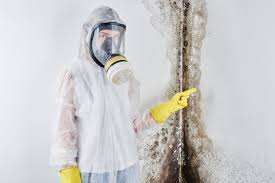 Best Residential Mold Inspection & Testing  in Del Mar, CA